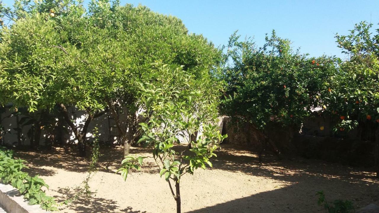 Villa Beloussi Zakynthos Kypseli Eksteriør billede